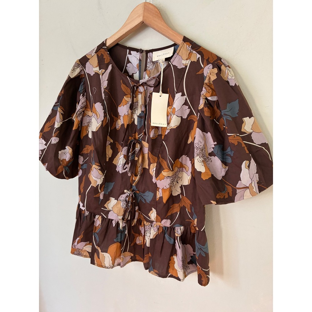 Melloday Fall Brown Floral Puff Sleeve Peplum Tie Front Blouse Boho Large NWT
